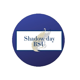 Shadow day
